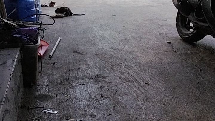 berbagi makanan...😁😁