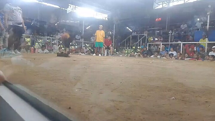 championship fight at Mr Nice guy arena🐓🐓