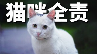 叕捡猫了，这次是猫先动的手！