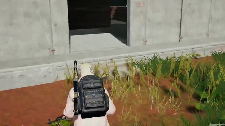 Apa yang akan terjadi jika Anda mengucapkan kalimat JOJO di depan seorang gadis Jepang (PlayerUnknow