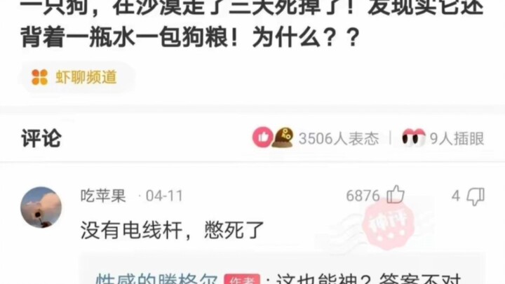 Hilarious Divine Comments