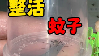 有趣
