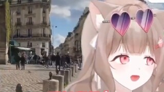 【B Daging Masak Terbatas】 Siapakah giegie paling tampan di dunia...? Pikiran tentang seekor kucing y