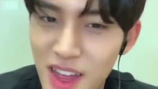 Kim Mingyu: Aku tidak seperti anak anjing Seventeen