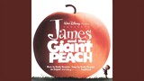 Good News (From "James and the Giant Peach" / Soundtrack Version)
