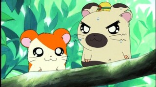 Hamtaro Episode 1 | Subtitle Indonesia