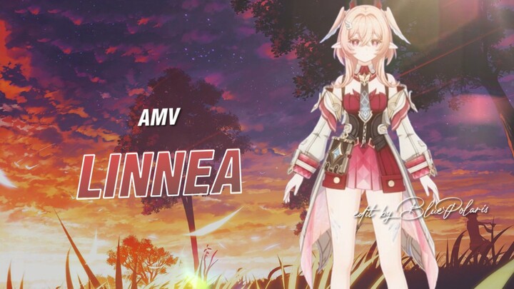 Amv linnea - genshin impact edit