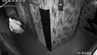 “密室大逃脱”