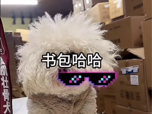 Sikap tuan muda ini memang pantas bikin si hewan kesal. Pan Hong lagi membela diri di dalam kompleks