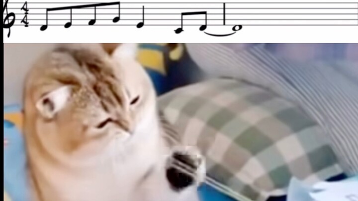 Jazz All-Purpose Phrase Even Cats Can Master