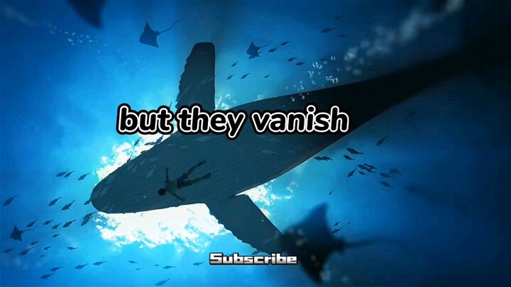 Lost in the Middle Ai song