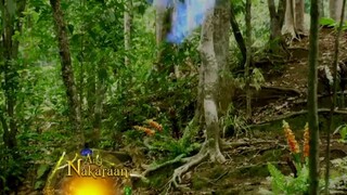 Encantandia 2016-Full Episode 23