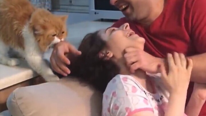 Meow: How dare you touch the person I’m protecting! Let go!!!