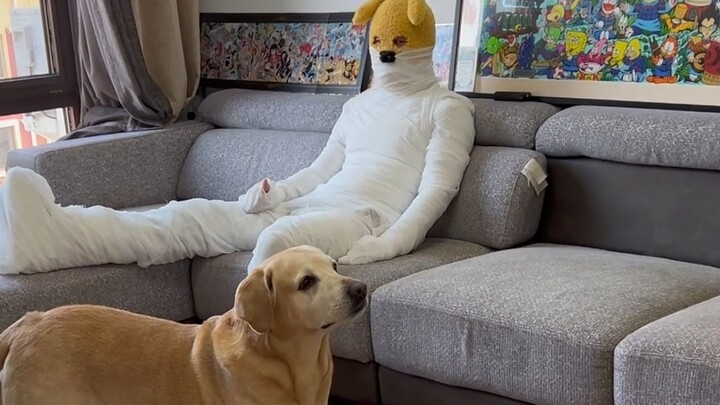 Chẳng phải chỉ là một trò đùa ngày Cá Tháng Tư thôi sao~