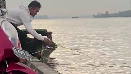 Mancing udang galah