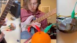 把吉他的声音接到其他物品上！橙子太好听了