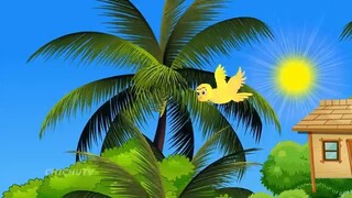 Rano Chidiya Wala Cartoon _ कार्टून चिड़िया _ NewTuni Achi Cartoon _ Hindi Kahan