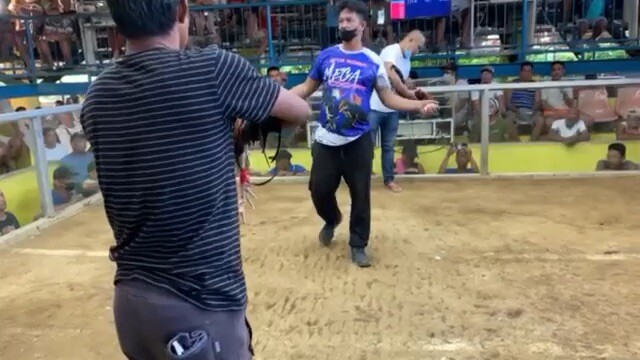 2nd fight win again