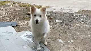 هناك نوع من العطش يشعر أبي أنني أعاني منه