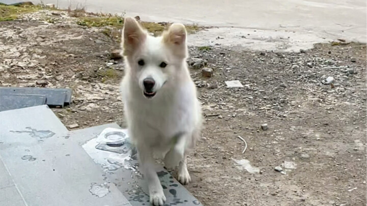 有一种渴叫我爸觉得我渴