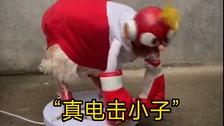 笑到肚子疼！四大搞笑动物让你捧腹大笑！