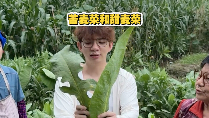 Apakah ada yang suka sayur youmai yang pahit?