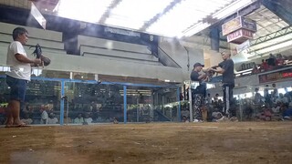 1st fight super 2hits #batanglandscape #2hitschamp🏆🐓🍺Cavite Coliseum