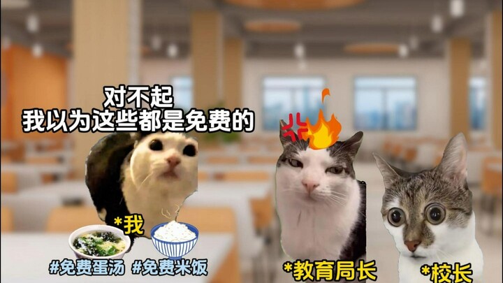 我吃得清淡领导你紧张什么