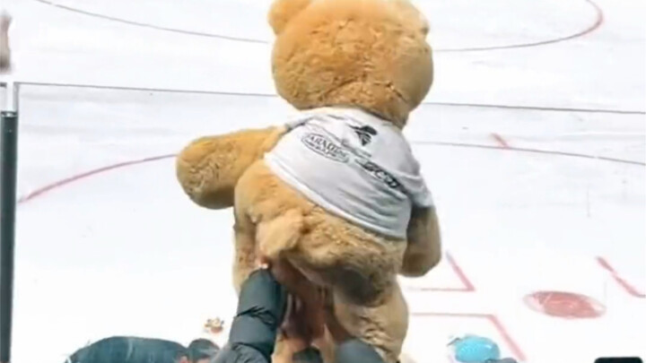 Everything else was thrown in, but this bear climbed in.