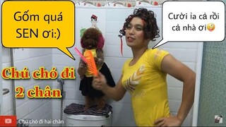 Chú chó đi 2 chân| Cười Ỉa Với Phiên Bản "Người Đàn Bà Hóa Đá" Của Su Xí Xọn và A Thắng |Poodle Vlog