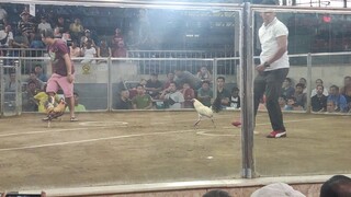 2HITS ULUTAN SA KAYBIGA NCCA CALOOCAN 1st Fight My Kanawayon  Champion