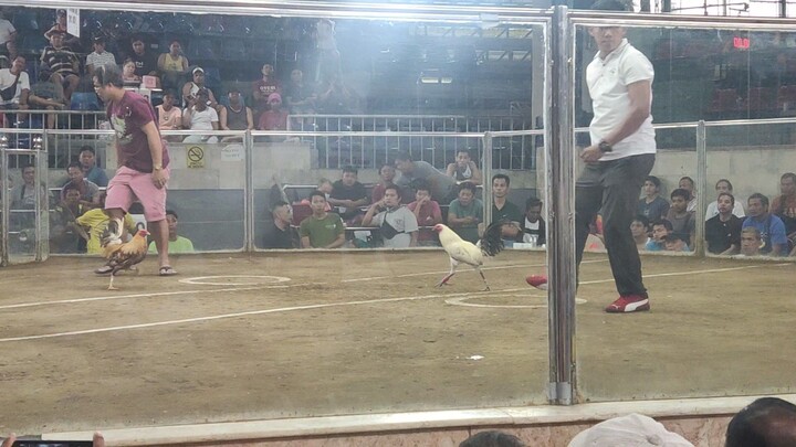 2HITS ULUTAN SA KAYBIGA NCCA CALOOCAN 1st Fight My Kanawayon  Champion