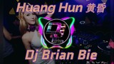 Huang Hun 黄昏 Remix By Dj Brian Bie