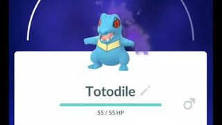 Pokémon GO-Purifying Shadow Totodile