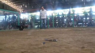 2nd fight Kapatid ng una LGB PANG 2 HITS CHAMPION