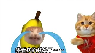 【Cat meme】The money I saved for medical treatment was used by my mother to buy groceries