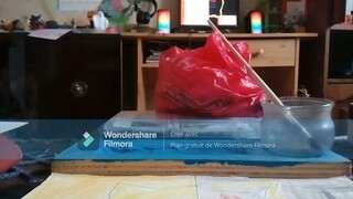 décoration halloween diy 2025