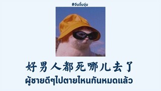 [THAISUB | PINYIN] 要不要买菜 - 好男人都死哪儿去了 ผู้ชายดีๆไปตายไหนกันหมดแล้ว   | เพลงจีนแปลไทย