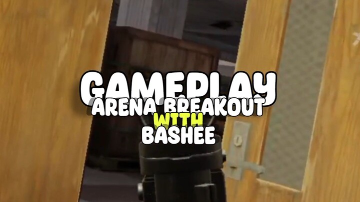 Bashee is Good Gun? || Arena Breakout
