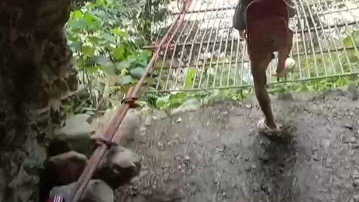 uwian time