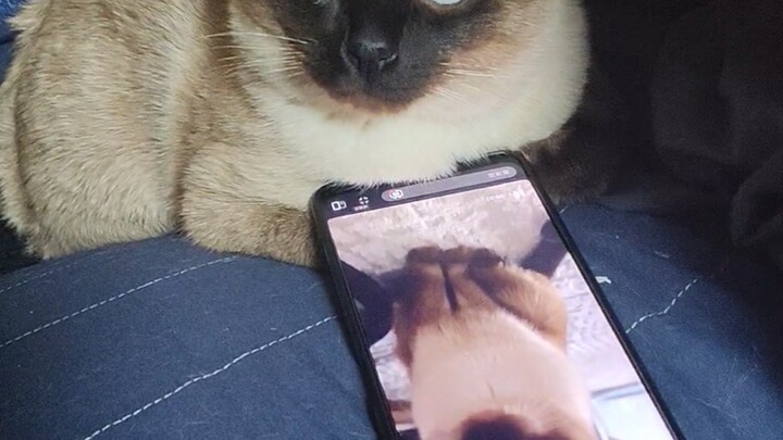 อายุยังน้อยก็หลงรักพิธีกรสาวไปแล้ว