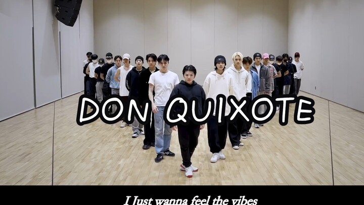 【Chinese subtitles】Don Quixote is coming seventeen