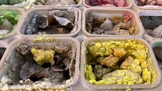The tragic tale of art students and their paints!