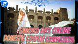 [Domestic Cosplay] Sword Art Online Gorgeous Cosplay Compilation_2