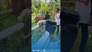 Momen Pantarlih di Konawe Utara Rela Datangi Makam Demi Coklit Data Pemilih, Sempatkan Kirim Doa