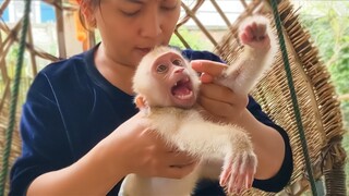 Crying Seizure!! OMG Help, Little Yaya crying so loudly when Mom takes her visit outside