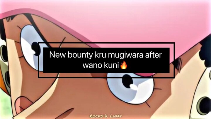 New Bounty Kru Mugiwara🔥
