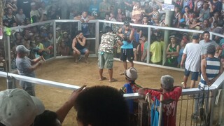 March 16, 2025 Hackfight, Win🐓