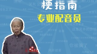 นักพากย์เสียงมืออาชีพคืออะไร? [Meme Guide]