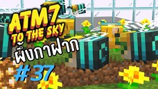 ตอน 37 เเอบฝากลูกไว้กับบ้านคนอื่น - All the Mods 7 To the Sky